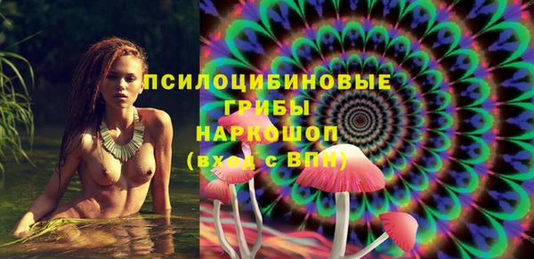 гидра Осинники