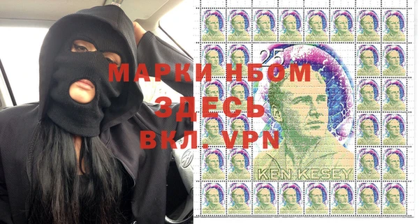 гидра Осинники
