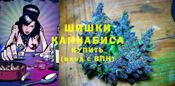 гидра Осинники