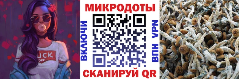 Псилоцибиновые грибы Cubensis  закладки  Пустошка 