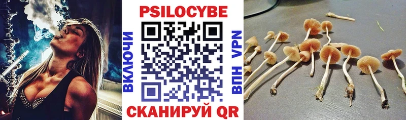 Галлюциногенные грибы Magic Shrooms Пустошка
